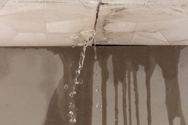 Professional Water Damage Repair technician working in Maxwell, TX